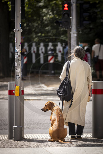 Frau und Hund