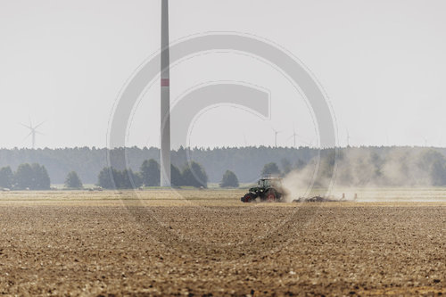 Landwirtschaft