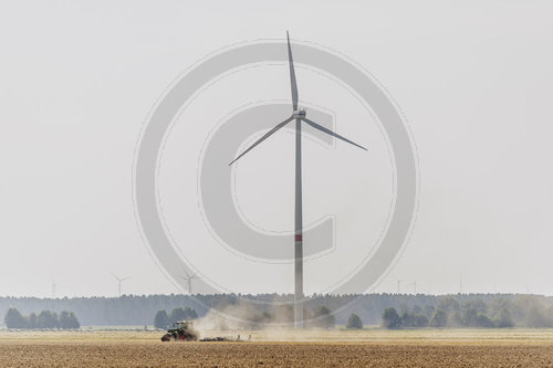Landwirtschaft