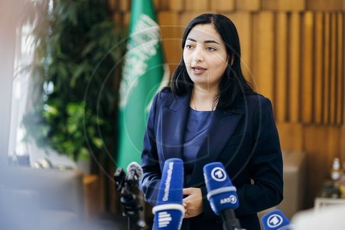 Reem Alabali-Radovan reist nach Nahost