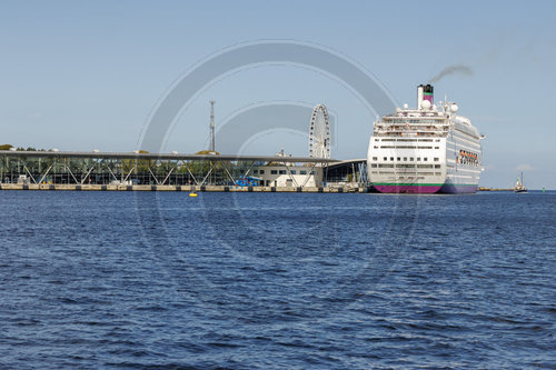 Das Kreuzfahrtschiff Ambience