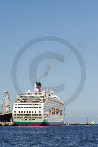 Das Kreuzfahrtschiff Ambience