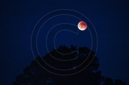 Blutmond