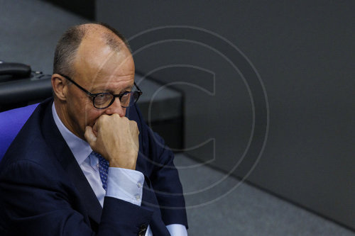 Friedrich Merz