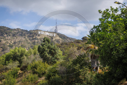 Hollywood Schriftzug
