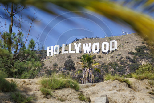 Hollywood Schriftzug