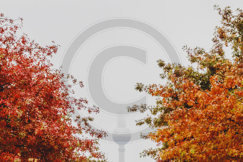 Herbst in Berlin