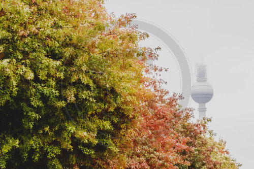 Herbst in Berlin