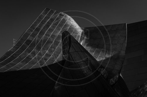Walt Disney Concert Hall