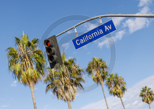 Venice Beach