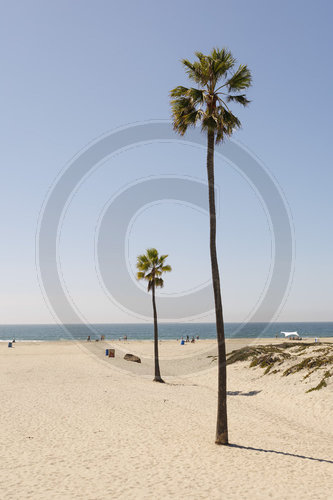 San Diego