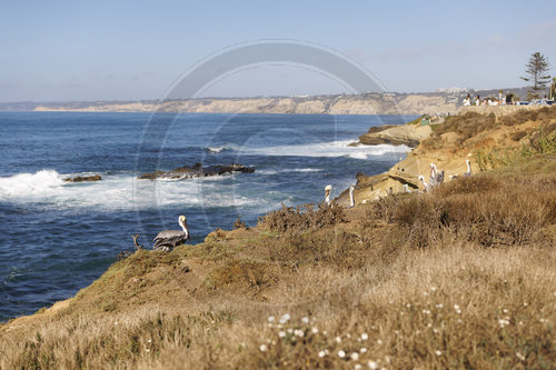 San Diego