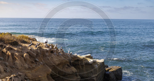 San Diego