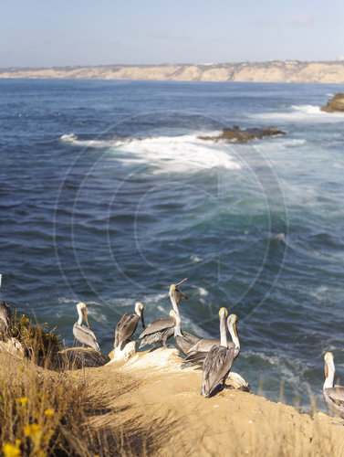 San Diego