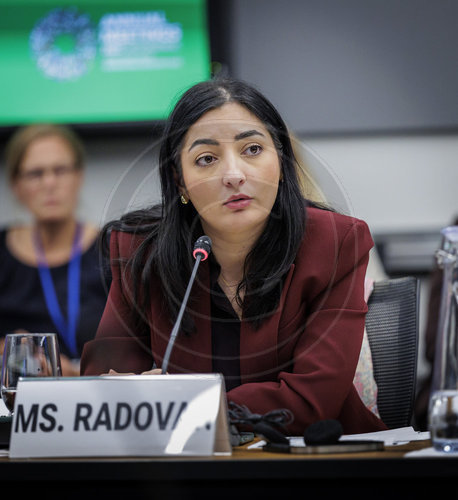 Reise Alabali Radovan nach Washington