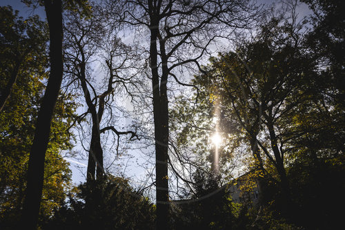 Herbst im Stadtpark Berlin Steglitz
