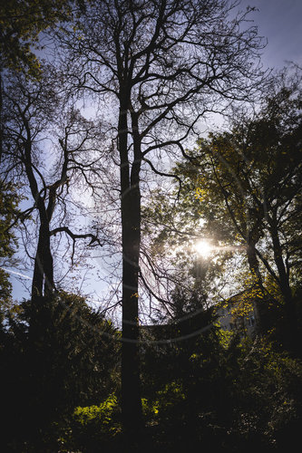 Herbst im Stadtpark Berlin Steglitz