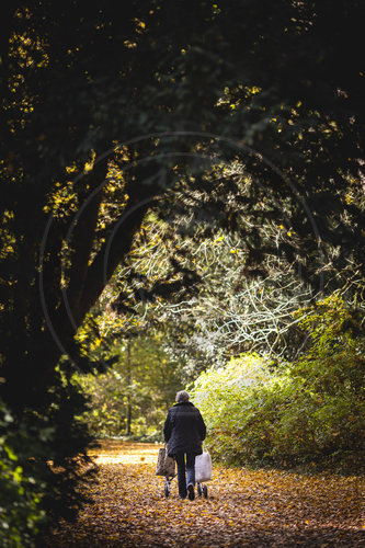 Herbst im Stadtpark Berlin Steglitz