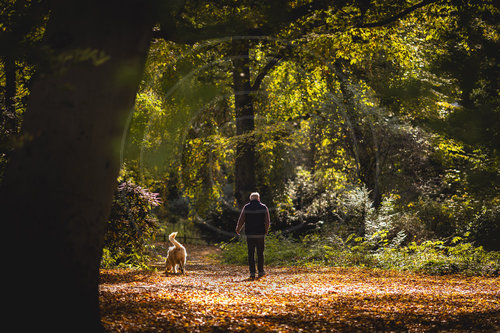 Herbst in Berlin
