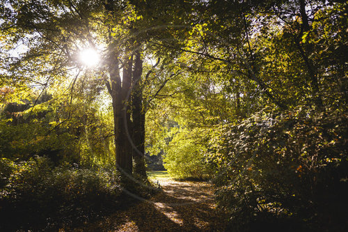 Herbst im Stadtpark Berlin Steglitz