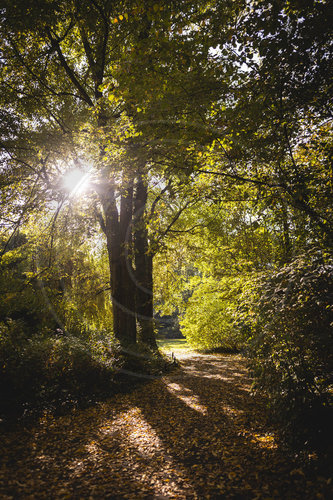 Herbst im Stadtpark Berlin Steglitz