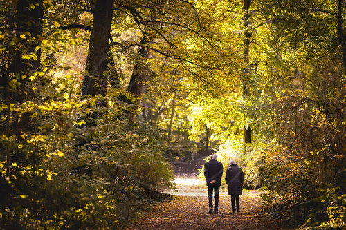 Herbst in Berlin