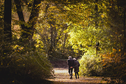 Herbst in Berlin