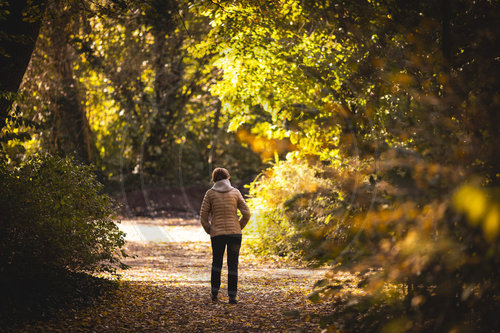 Herbst in Berlin