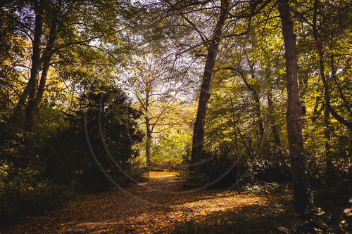 Herbst im Stadtpark Berlin Steglitz