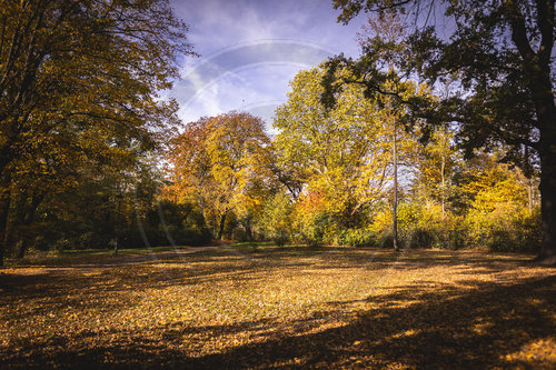 Herbst im Stadtpark Berlin Steglitz