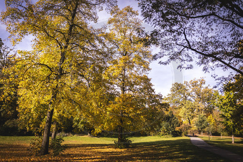 Herbst im Stadtpark Berlin Steglitz