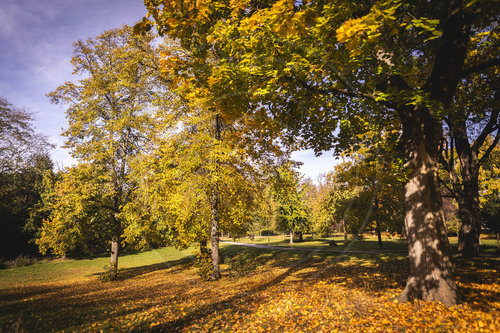 Herbst im Stadtpark Berlin Steglitz