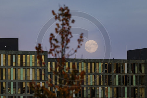 Supermond bei Sonnenuntergang