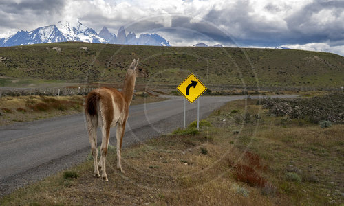 Chile, Patagonien