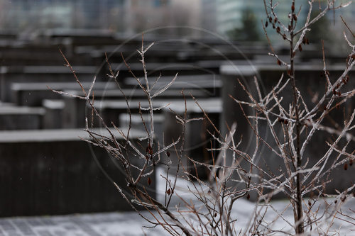 Symbolfoto zum Tag des Gedenkens an die Opfer des Nationalsozialismus