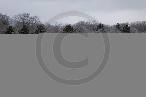 Symbolfoto zum Tag des Gedenkens an die Opfer des Nationalsozialismus