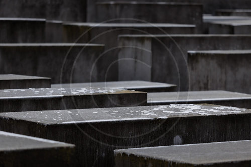 Symbolfoto zum Tag des Gedenkens an die Opfer des Nationalsozialismus