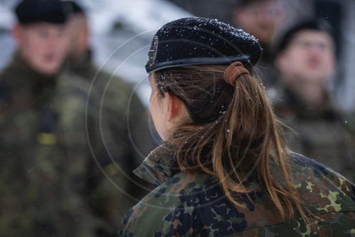 Panzerbrigade Litauen