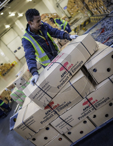 Frachtterminal Ethiopian Airlines