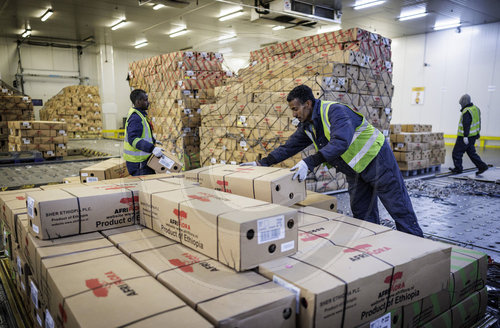 Frachtterminal Ethiopian Airlines