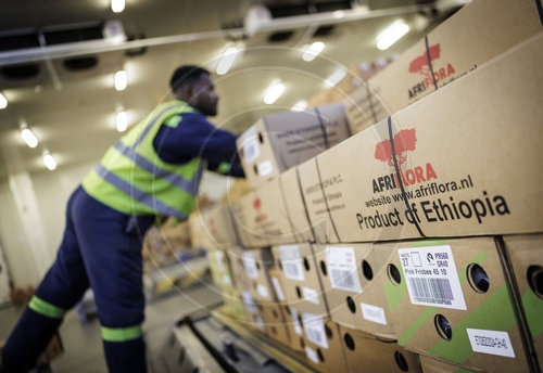 Frachtterminal Ethiopian Airlines