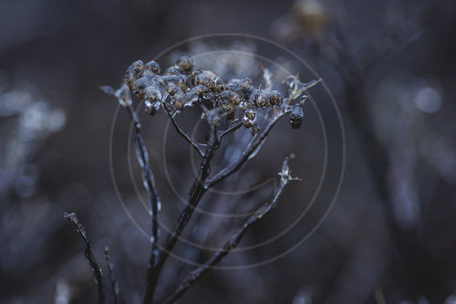 Eisglaette in Berlin