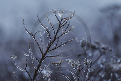 Eisglaette in Berlin