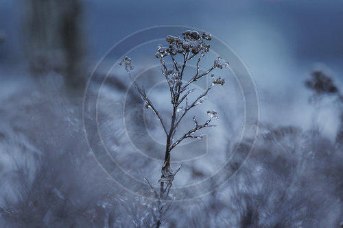 Eisglaette in Berlin