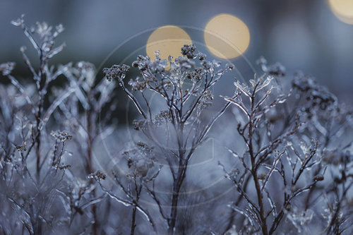 Eisglaette in Berlin