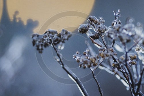 Eisglaette in Berlin