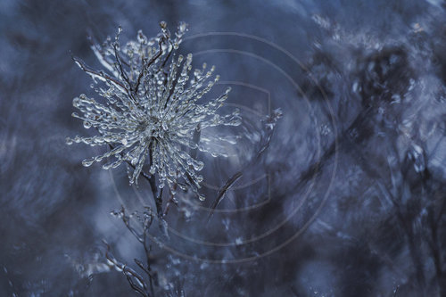 Eisglaette in Berlin