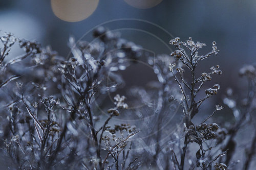 Eisglaette in Berlin