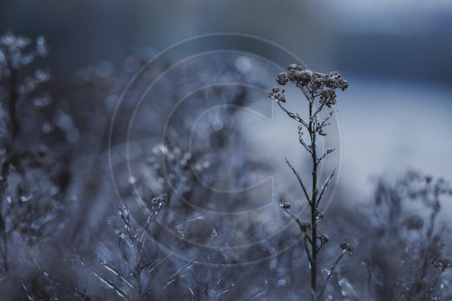 Eisglaette in Berlin