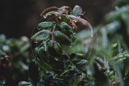 Eisglaette in Berlin